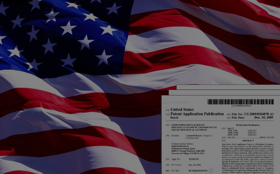 3.USA Patent N.US 2009/0304870 A1 (10/12/2009)