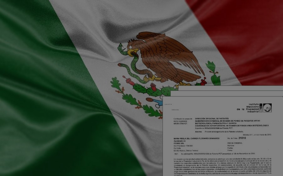 4.Mexico Patent N.MX002009001588A (2009)