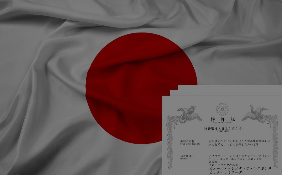 8.Japan Patent N.4852151 (28/10/2011)